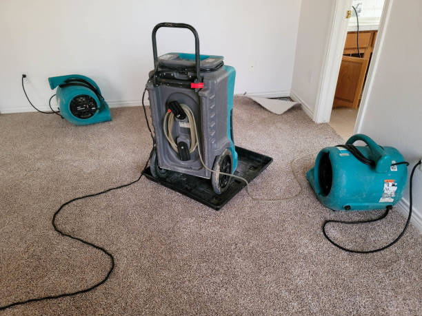 Water damage restoration mold remediation in WA