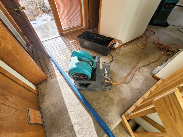 Best Water damage mitigation services  in East Port Orchard, WA