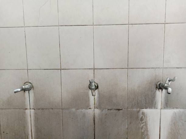 Best Mold removal after water damage  in East Port Orchard, WA