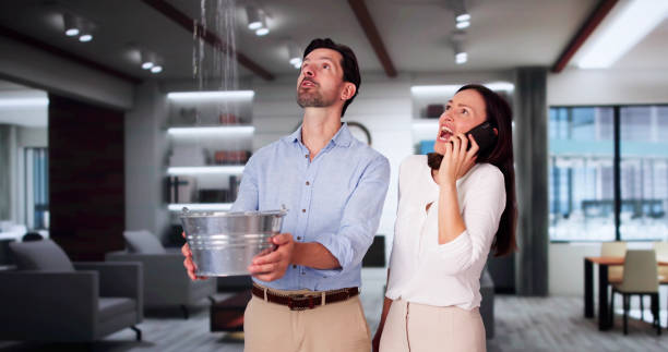 Best Local water damage restoration  in East Port Orchard, WA
