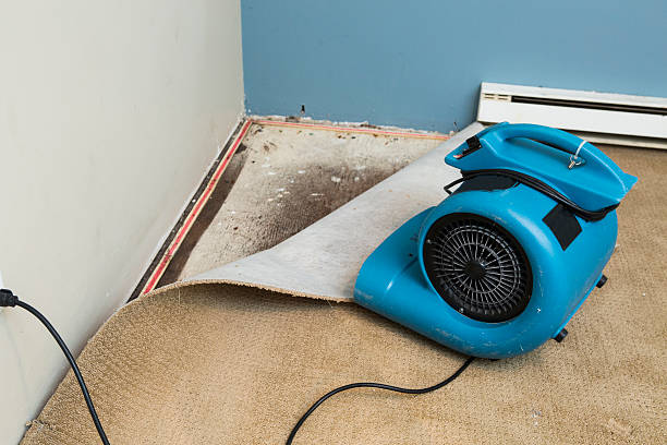 Best Flood restoration services  in East Port Orchard, WA